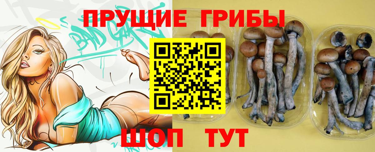 Галлюциногенные грибы ЛСД  Вход с VPN  Галлюциногенные грибы прущие грибы  Кумертау 