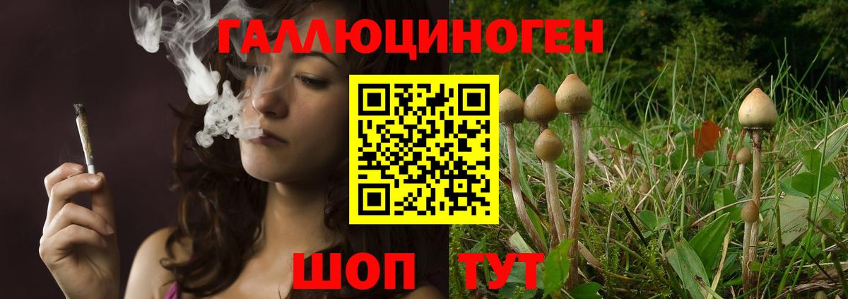 Псилоцибиновые грибы прущие грибы Кумертау